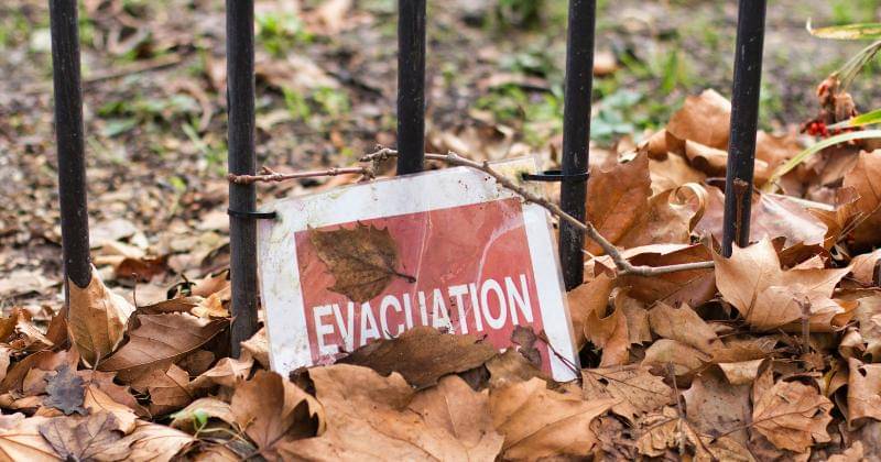 Unsplash/Adrian Raudaschl